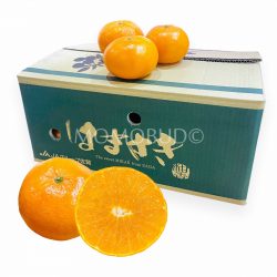 Japanese Hamasaki Mikan (Mandarin Orange) 5kg Box