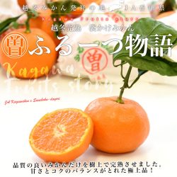 Japanese Kagawa Fruit Monogatari Winter Mikan poster Japanese Kagawa Fruit Monogatari Winter Mikan poster