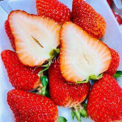 Japanese Sakuramomo Ichigo (Strawberry) cross section