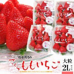 Japanese Sakuramomo Ichigo (Strawberry) poster