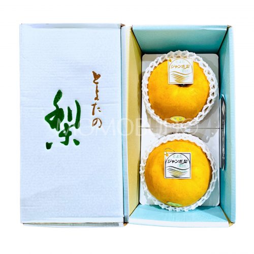 Japanese Toyota no Atago Nashi Pear Gift Box (2.2kg)