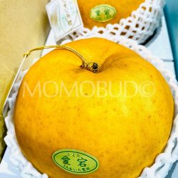 Japanese Toyota no Atago Nashi Pears 1