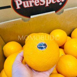 USA Purespect Navel Orange