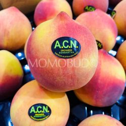Australian ACN Orchards Yellow Peach