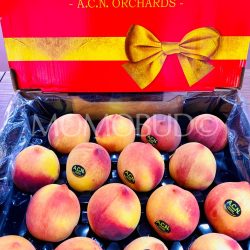 Australian ACN Orchards Yellow Peaches