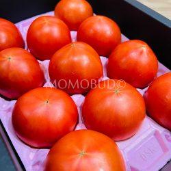 Japanese Royal Celeb Tomatoes