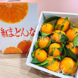 China Benimadonna Orange Gift Box (1.5kg)