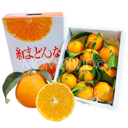 China Benimadonna Orange Gift Box (1.5kg)
