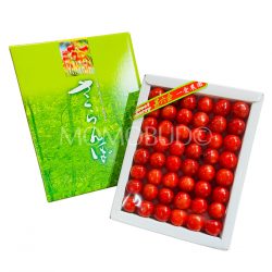 Japanese Jinrokuai Kazuai Sato Nishiki Sakurabon (Cherry) Gift Box (Tokushu Grade)