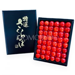 Japanese Tokusen Sato Nishiki Sakurabon (Cherry) Black Gift Box (Tokushu Grade) 300g
