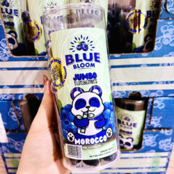 Jumbo Blue Bloom Blueberry (200g tub)