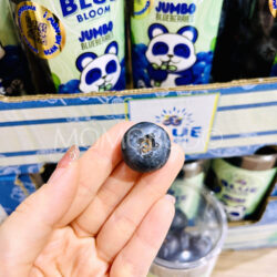 Jumbo Blue Bloom Blueberry