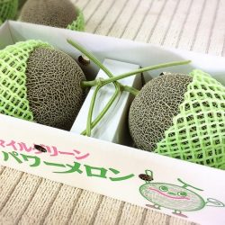 Jumbo Japanese Higo Green Muskmelon Gift Box (4kg, 2pcs) 1 Jumbo Japanese Higo Green Muskmelon Gift Box (4kg, 2pcs) 1