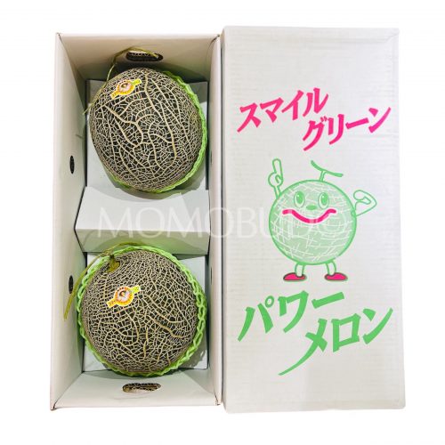 Jumbo Japanese Higo Green Muskmelon Gift Box (4kg, 2pcs) Jumbo Japanese Higo Green Muskmelon Gift Box (4kg, 2pcs)