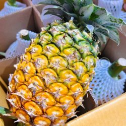 Thailand Nanglae Pineapple