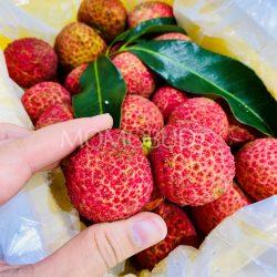 Airflown Hainan Seedless Lychee