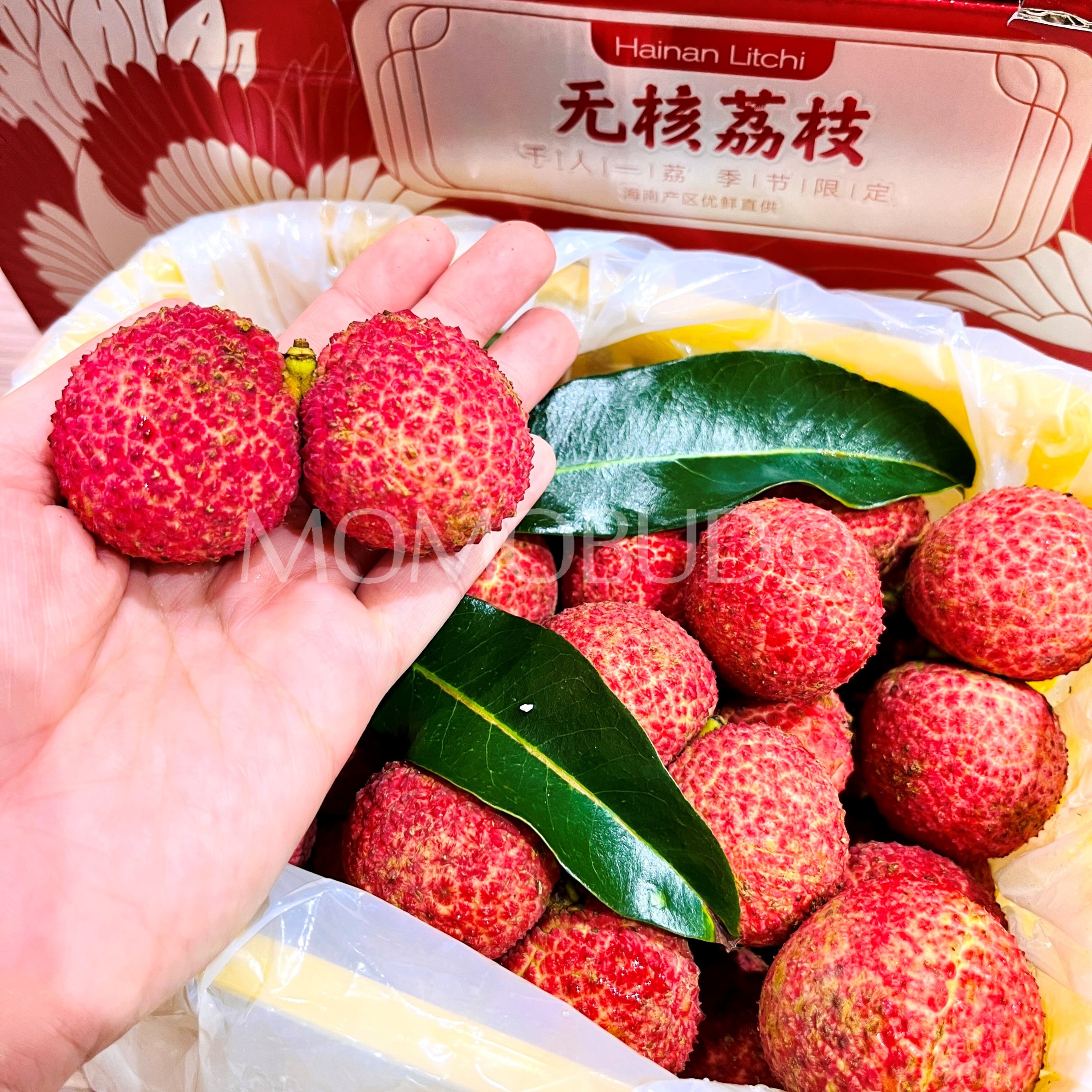 Airflown Hainan Seedless Lychee Gift Box (1.5kg approx) — MomoBud