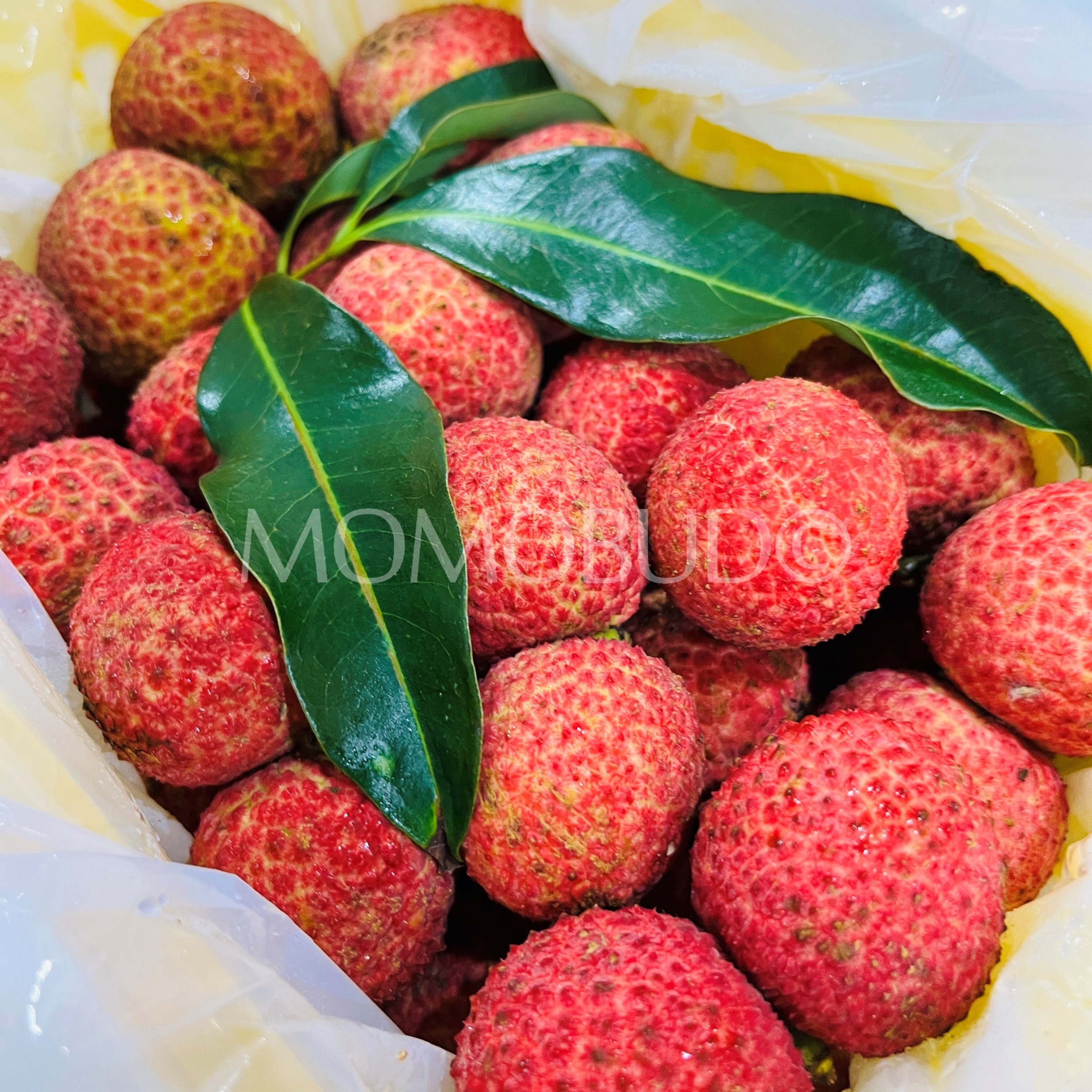 Airflown Hainan Seedless Lychee Gift Box (1.5kg approx) — MomoBud