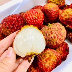 Airflown Premium China Lychee King flesh