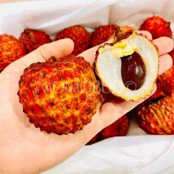 Airflown Premium China Lychee King lychee cross section