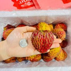 Airflown Premium China Lychee King size comparison