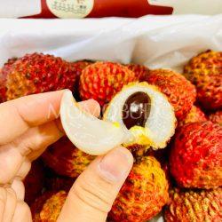 Airflown Premium China Lychee King slice
