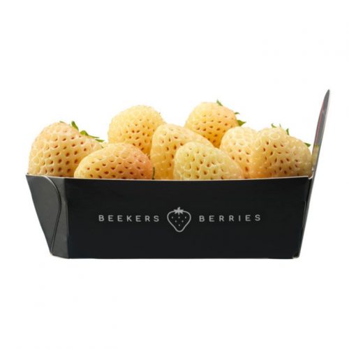 Beekers Specialities Yellowberry Beekers Specialities Yellowberry