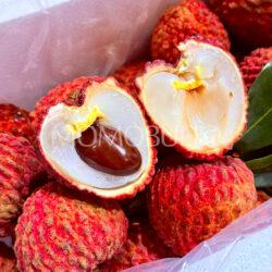 China Darmaily King Lychee cross section 2