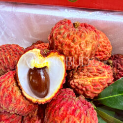 China Darmaily King Lychee cross section 3