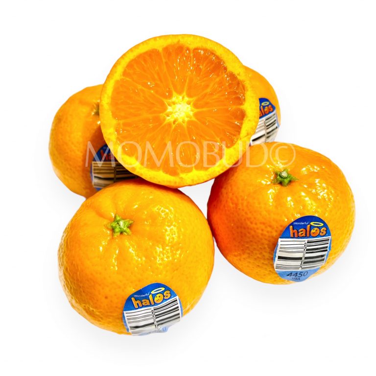 Halos Mandarin Orange (1kg) — MomoBud