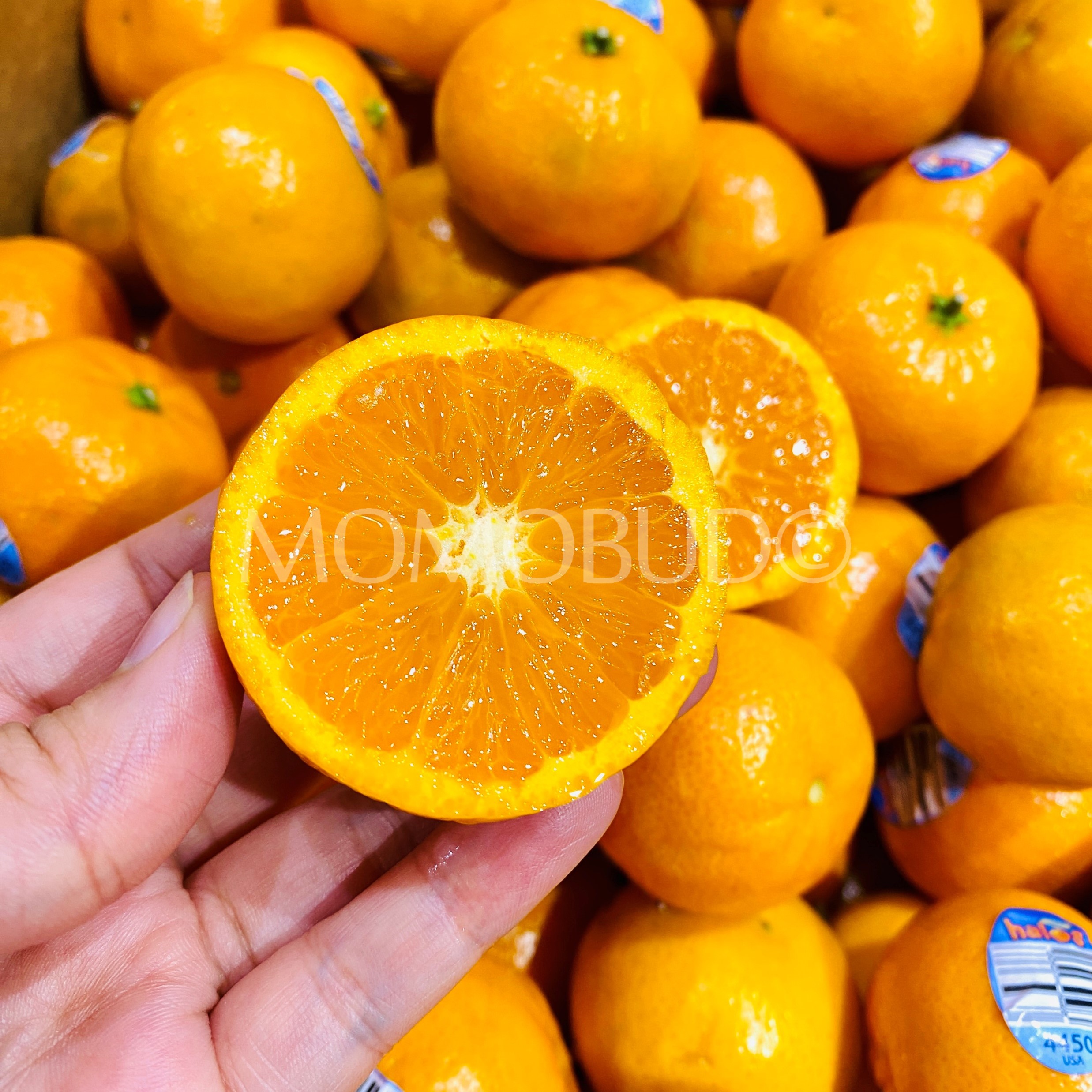 Halos Mandarin Orange (1kg) — MomoBud