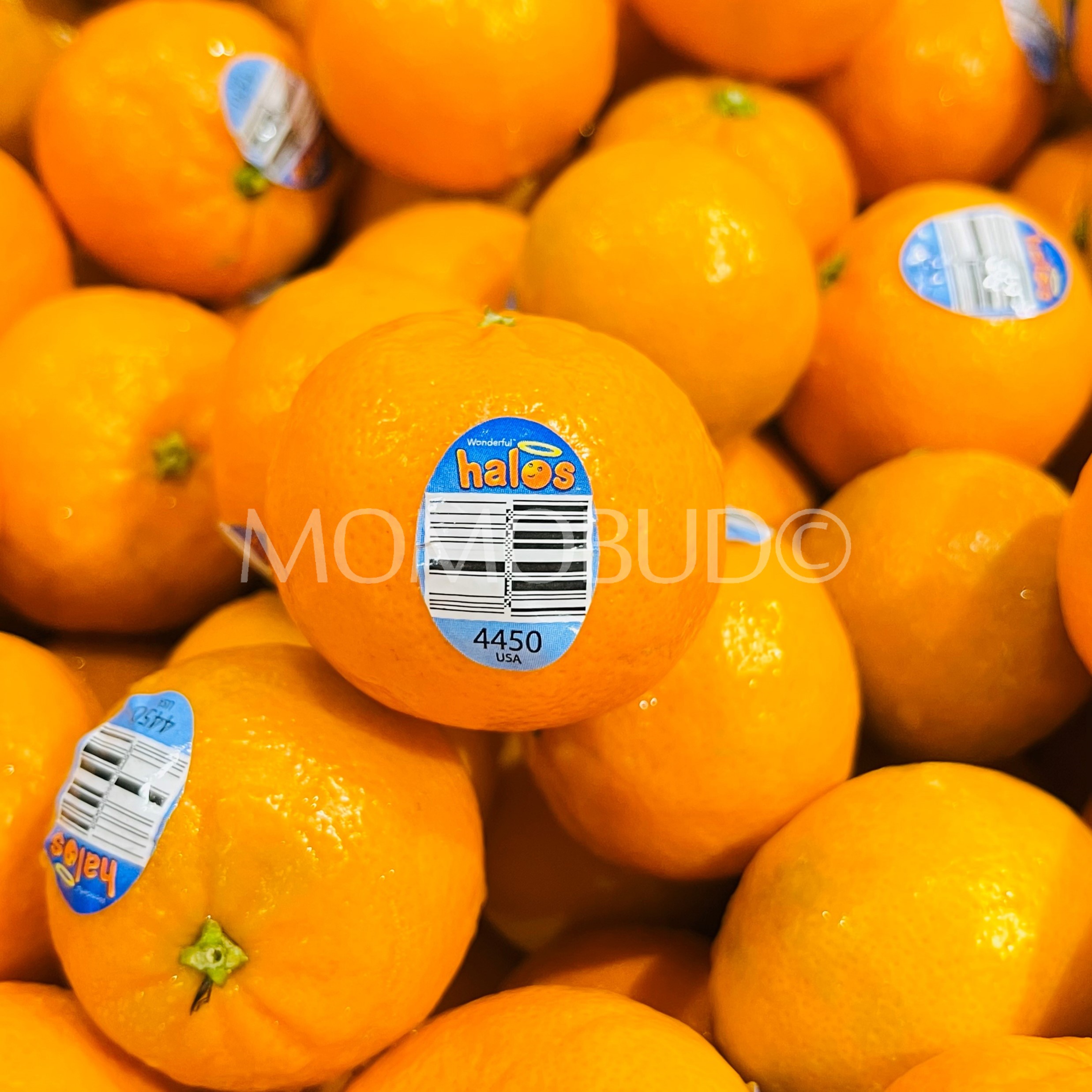 Halos Mandarin Orange (1kg) — MomoBud