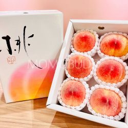 Japanese Fukuoka Yame House White Peach Gift Box