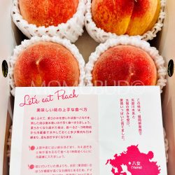 Japanese Fukuoka Yame House White Peach brochure back