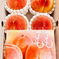Japanese Fukuoka Yame House White Peach brochure front
