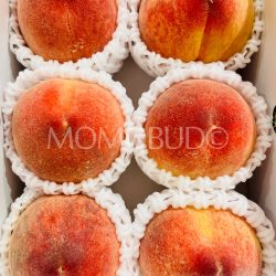 Japanese Fukuoka Yame House White Peaches
