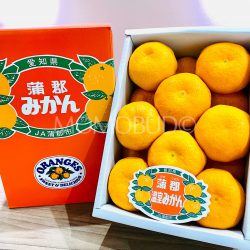 Japanese Gamagori Onshitsu Mikan Gift Box (2kg) 1