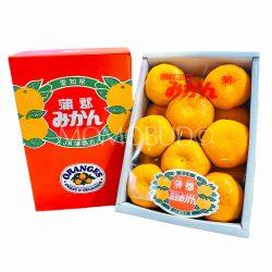 Japanese Gamagori Onshitsu Mikan Gift Box (2kg)