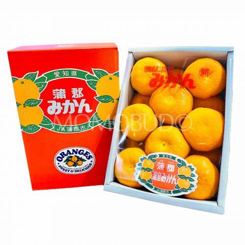 Japanese Gamagori Onshitsu Mikan Gift Box (2kg)