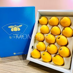Japanese Natsutayori Biwa (Loquat) Gift Box (1kg) 1