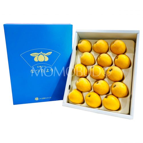 Japanese Natsutayori Biwa (Loquat) Gift Box (1kg)