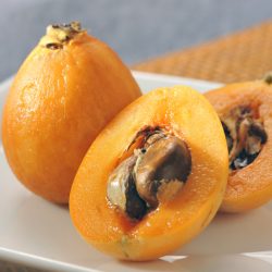 Japanese Natsutayori Biwa (Loquat) cross section