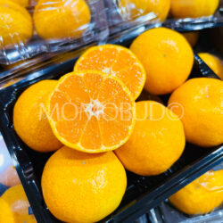 Japanese Oita House Mikan (Mandarin Orange) cross section