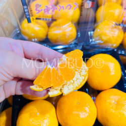 Japanese Oita House Mikan (Mandarin Orange) slice