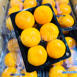 Japanese Oita House Mikan (Mandarin Oranges)