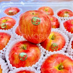 Japanese Shinano Sweet Apple 1