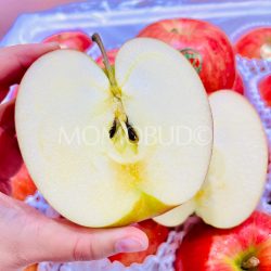 Japanese Shinano Sweet Apple cross section 1