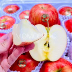 Japanese Shinano Sweet Apple cross section 2