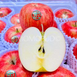 Japanese Shinano Sweet Apple cross section sq