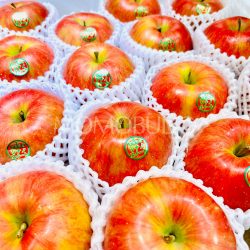 Japanese Shinano Sweet Apples